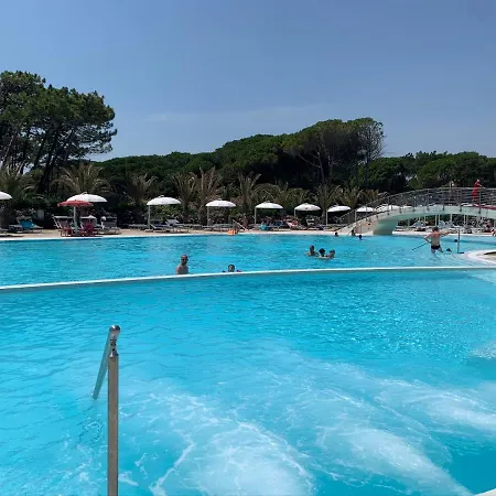 Greif * Lignano Sabbiadoro