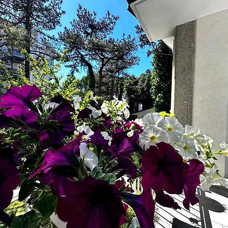 Greif Villa *